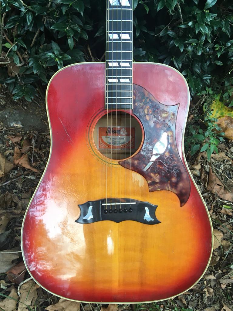 1970s Gibson Dove
