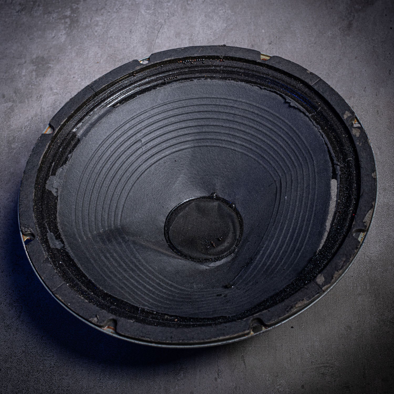 1990s Celestion 12" Speaker ex Noel Gallagher OASIS