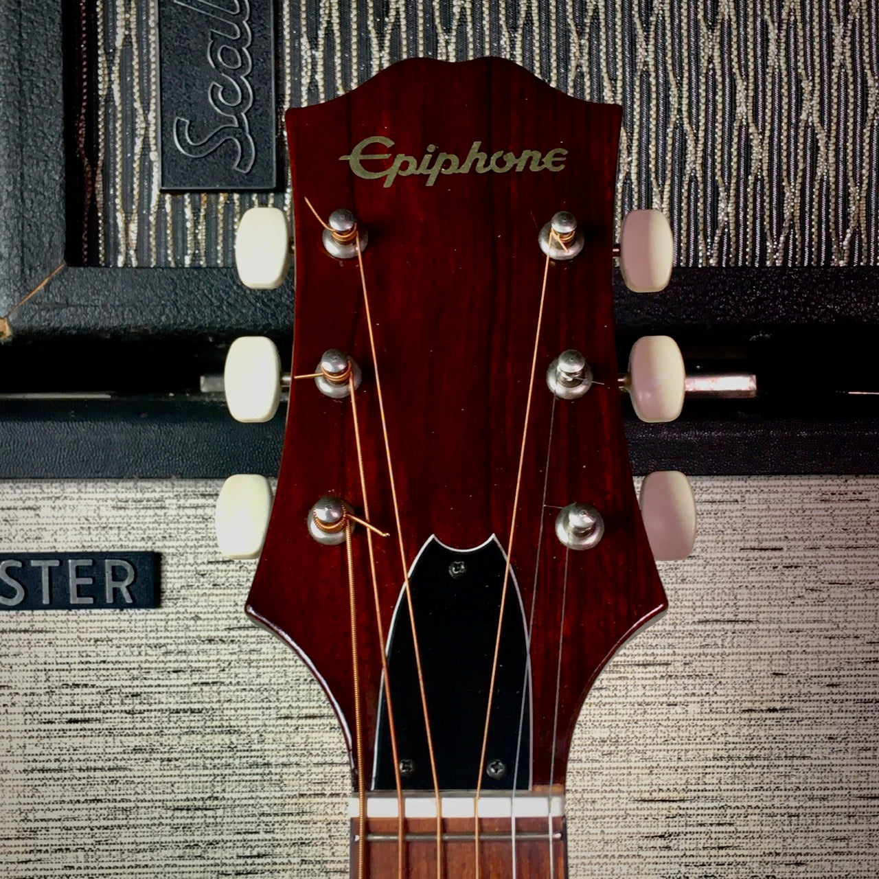 Epiphone FT140 Acoustic Ex Tim Bricheneo THE SISTERS OF MERCY Natural 1981