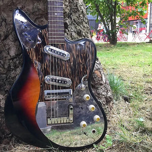 Descriptive image text