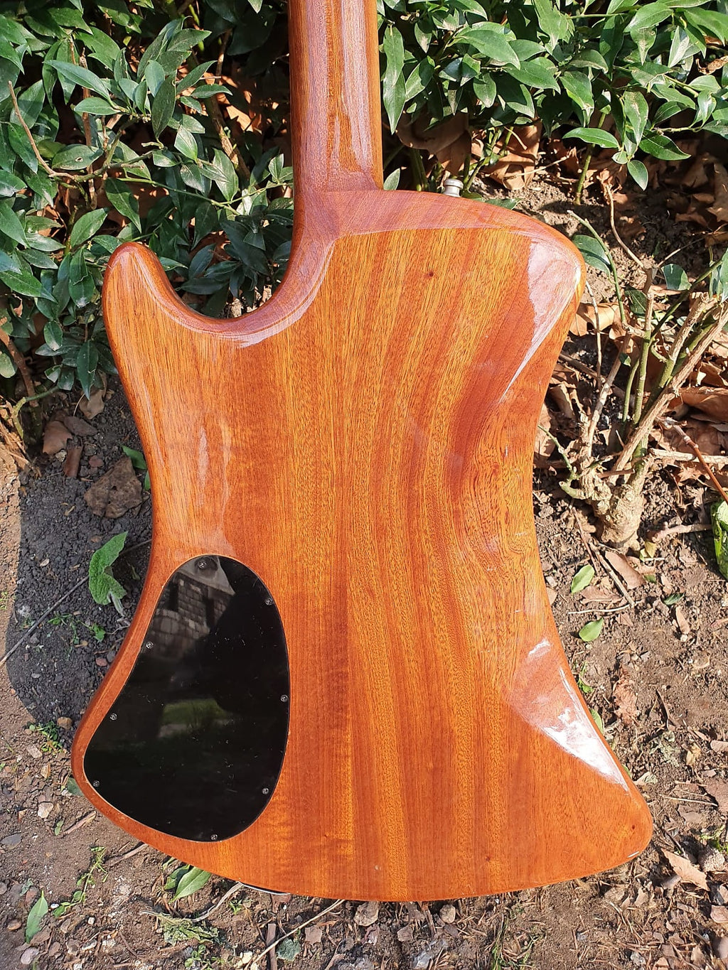 1980s Hofner Razorwood