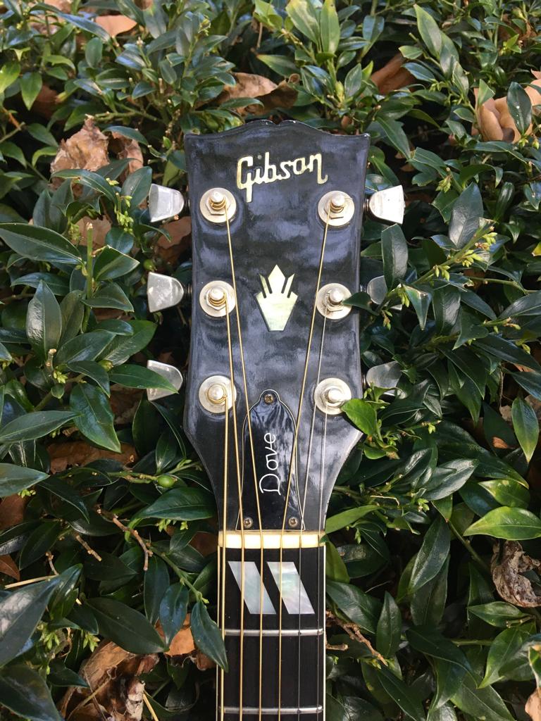 1970s Gibson Dove