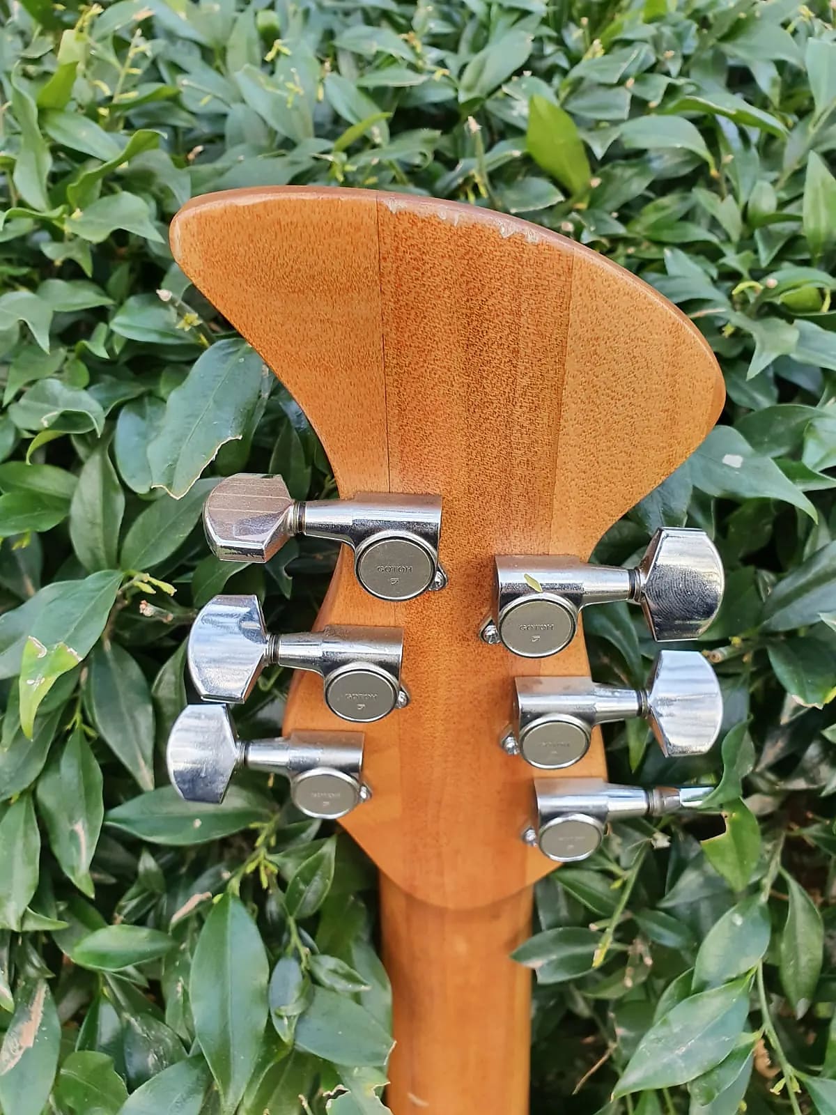 Brandoni Custom Acoustic