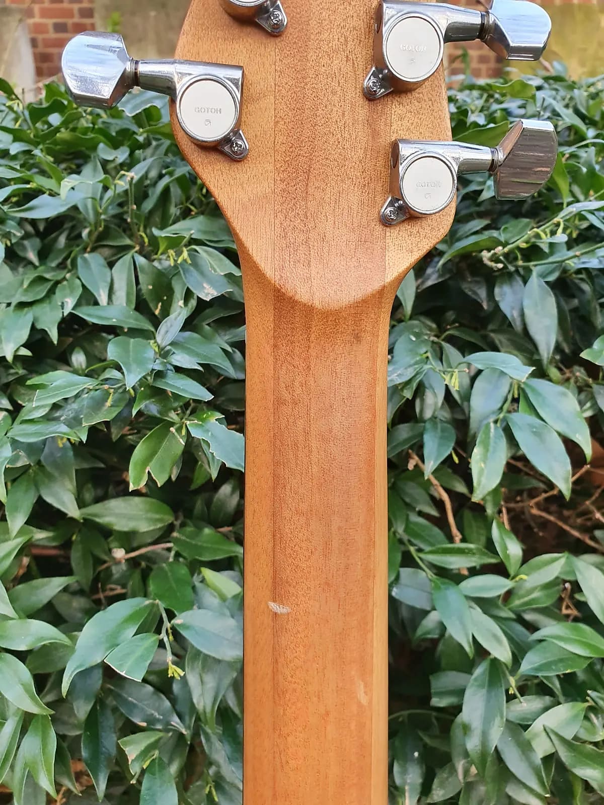 Brandoni Custom Acoustic