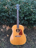 1952 Gibson J50 Acoustic