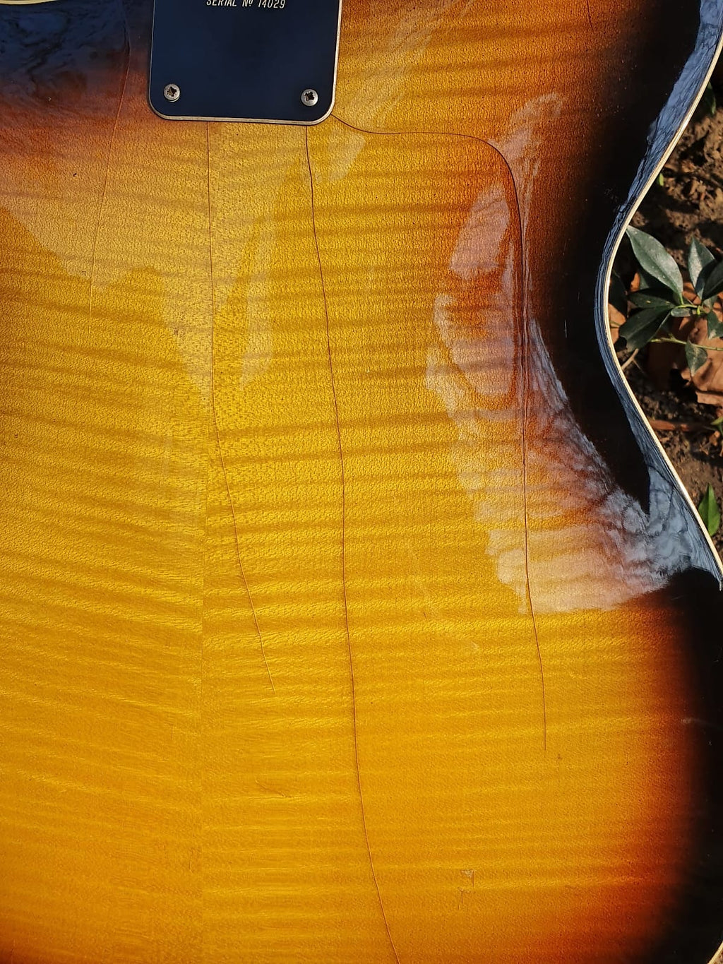 1966 Burns Baldwin GB66