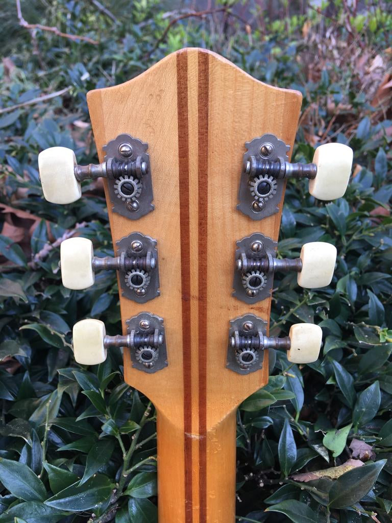 1956  Hofner President