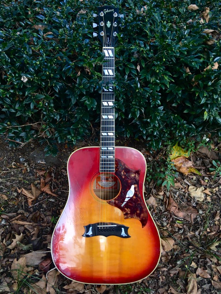 1970s Gibson Dove