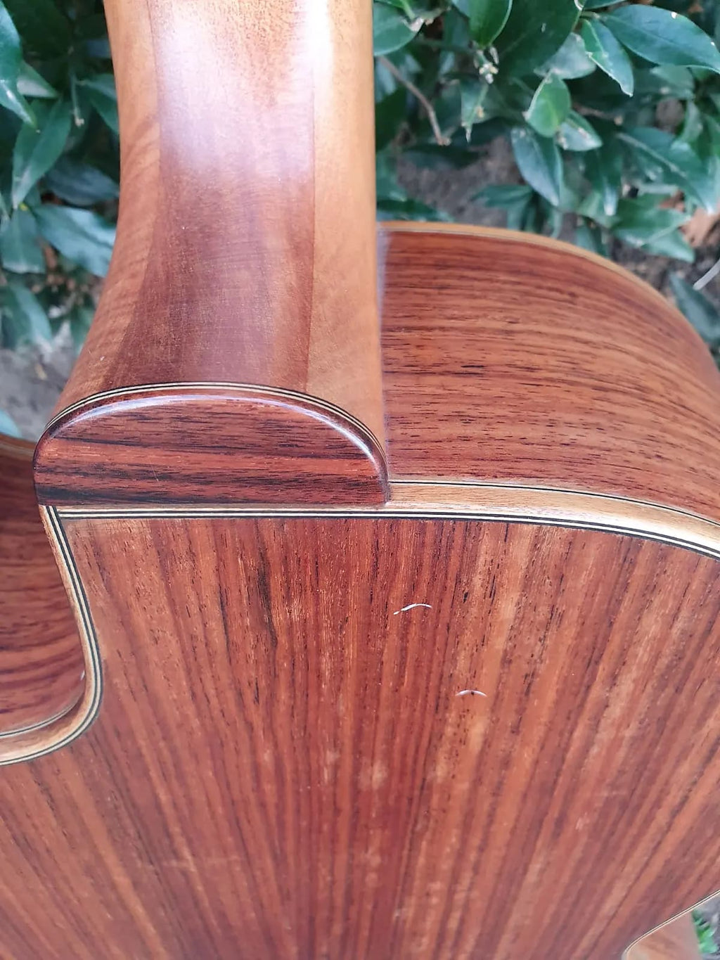 Brandoni Custom Acoustic