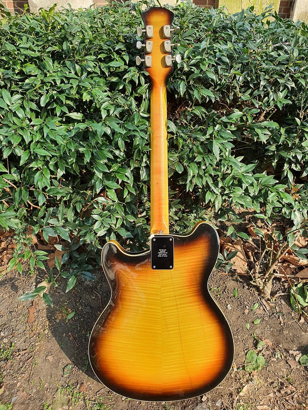 1966 Burns Baldwin GB66