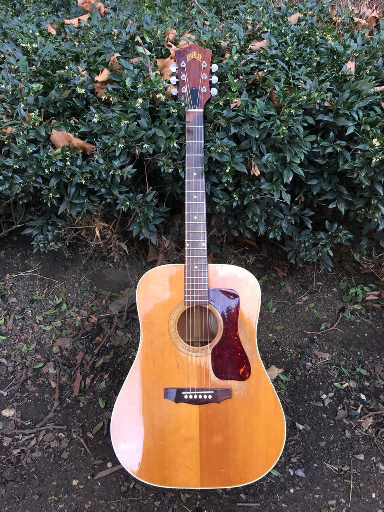 1971 Guild D40