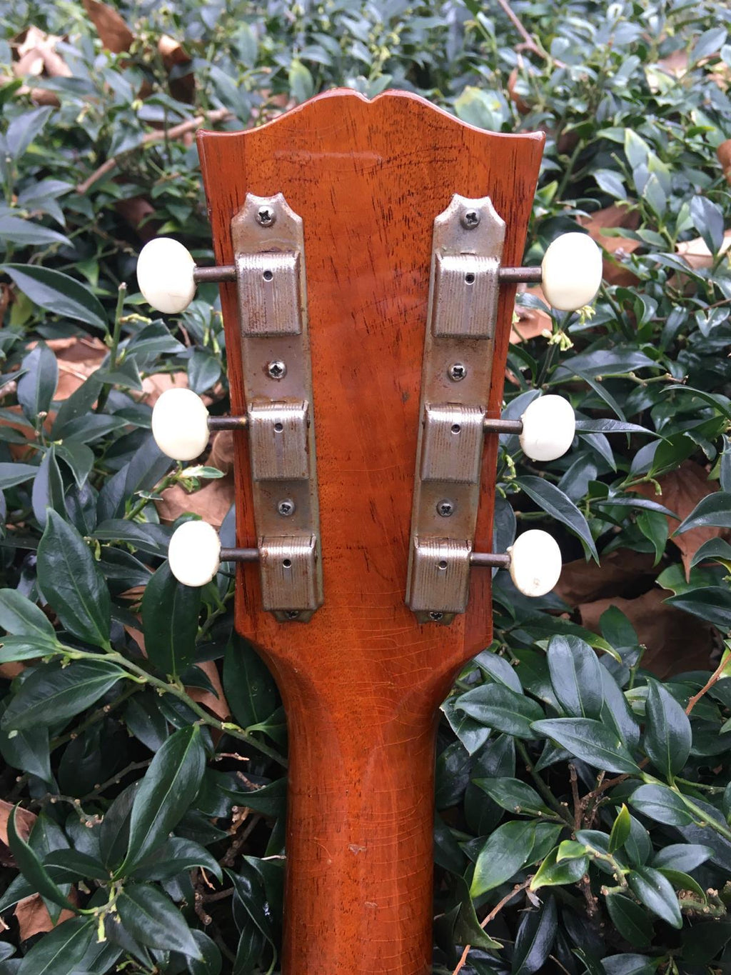 1952 Gibson J50 Acoustic