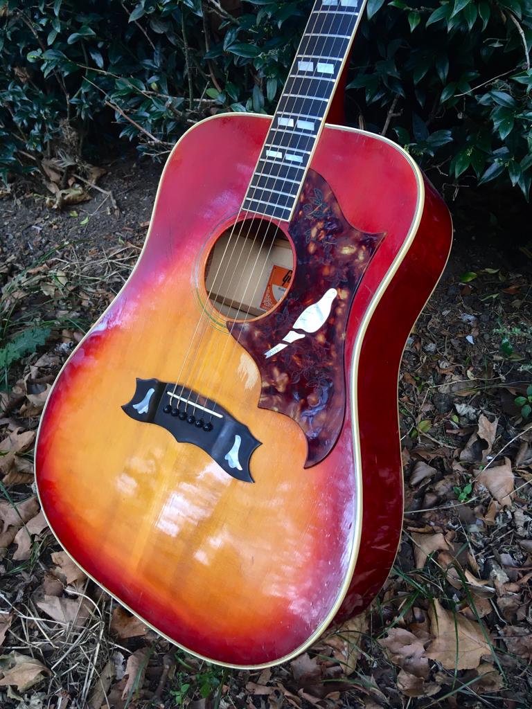1970s Gibson Dove