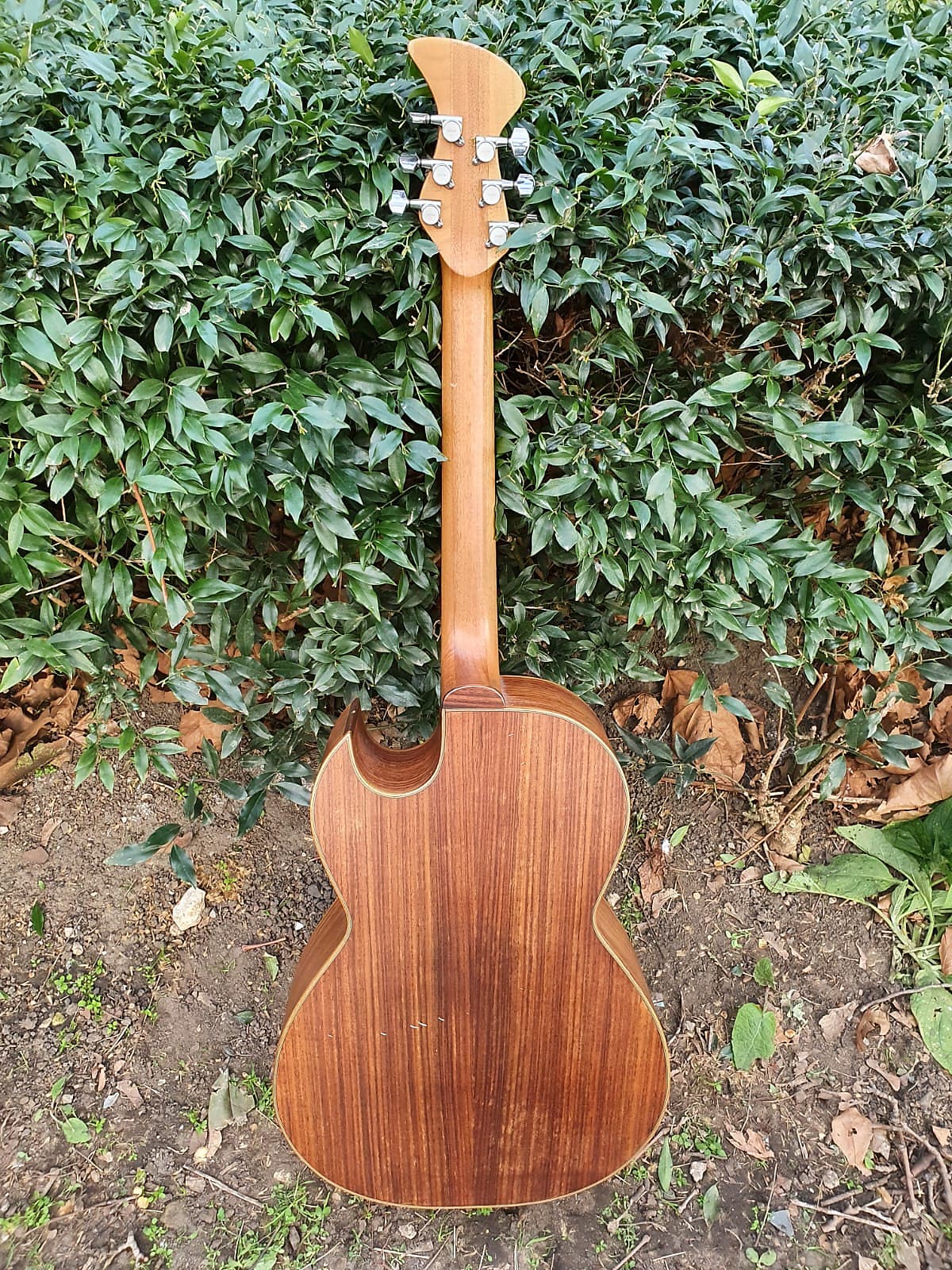 Brandoni Custom Acoustic