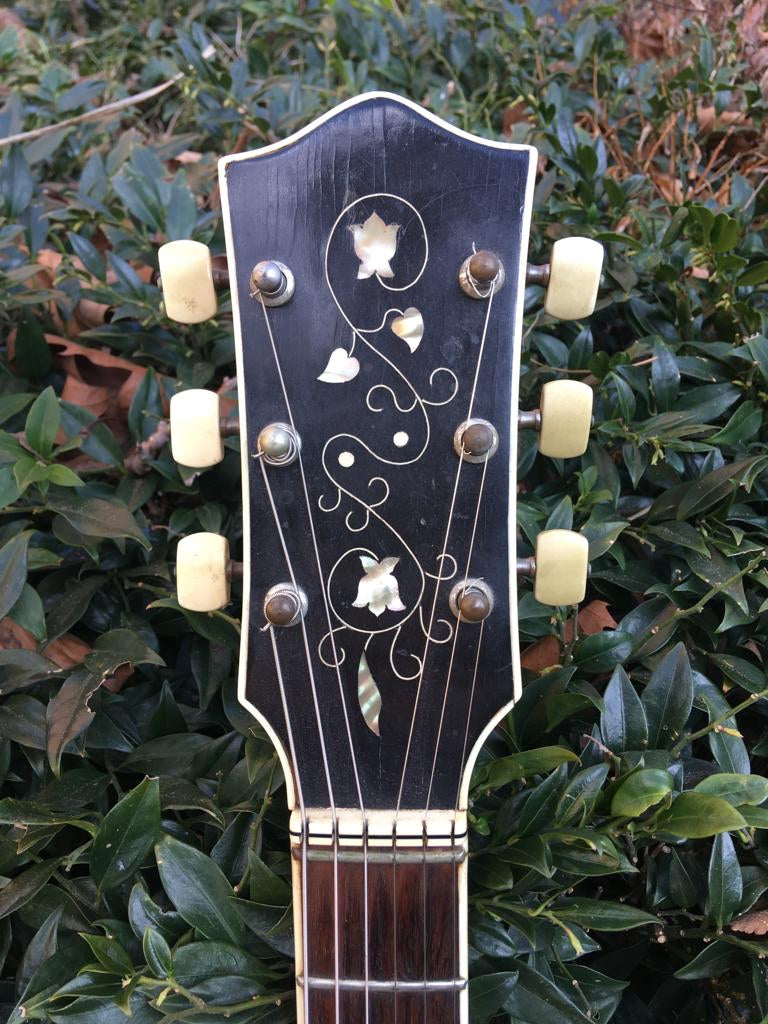 1956  Hofner President