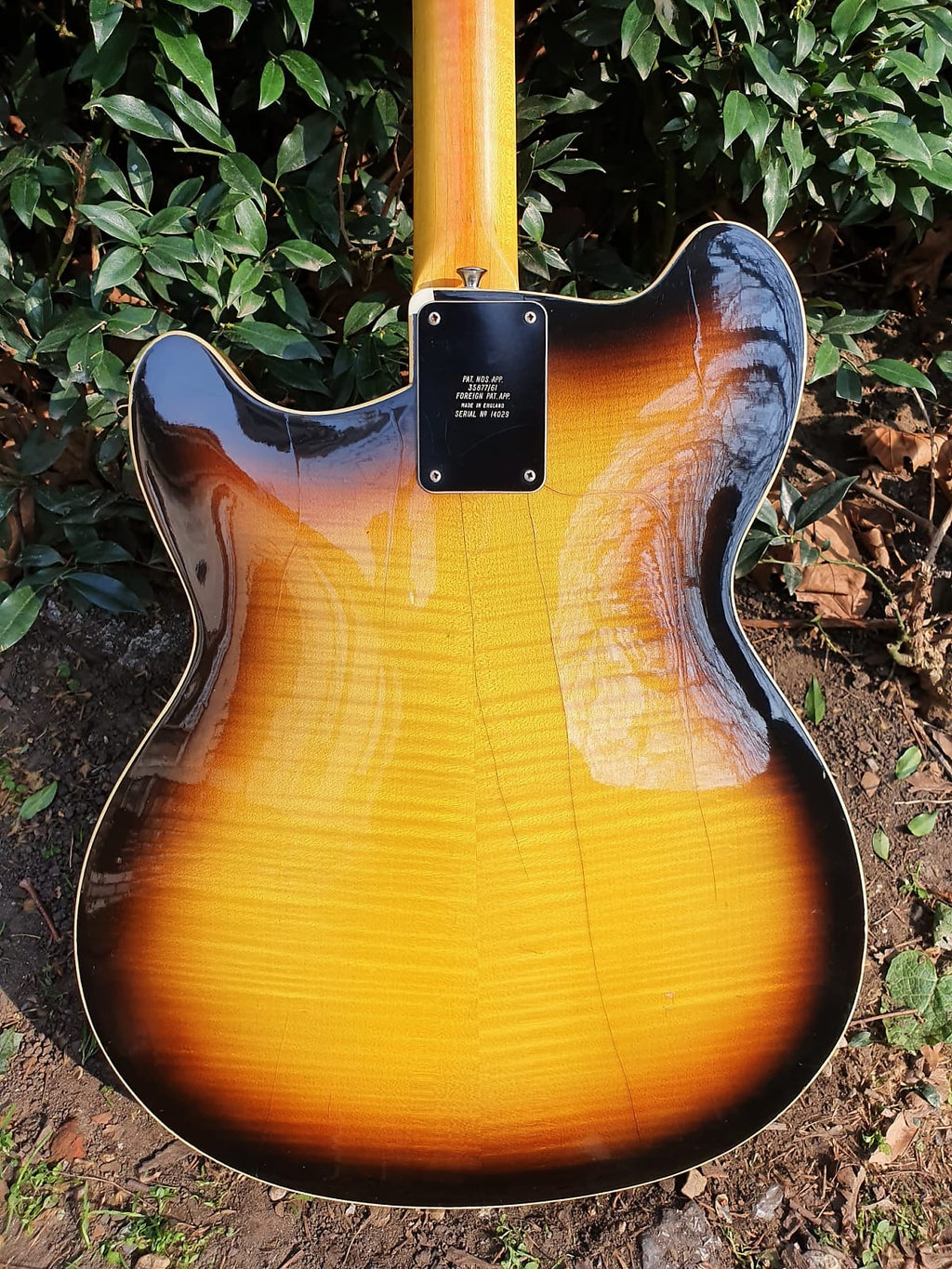 1966 Burns Baldwin GB66