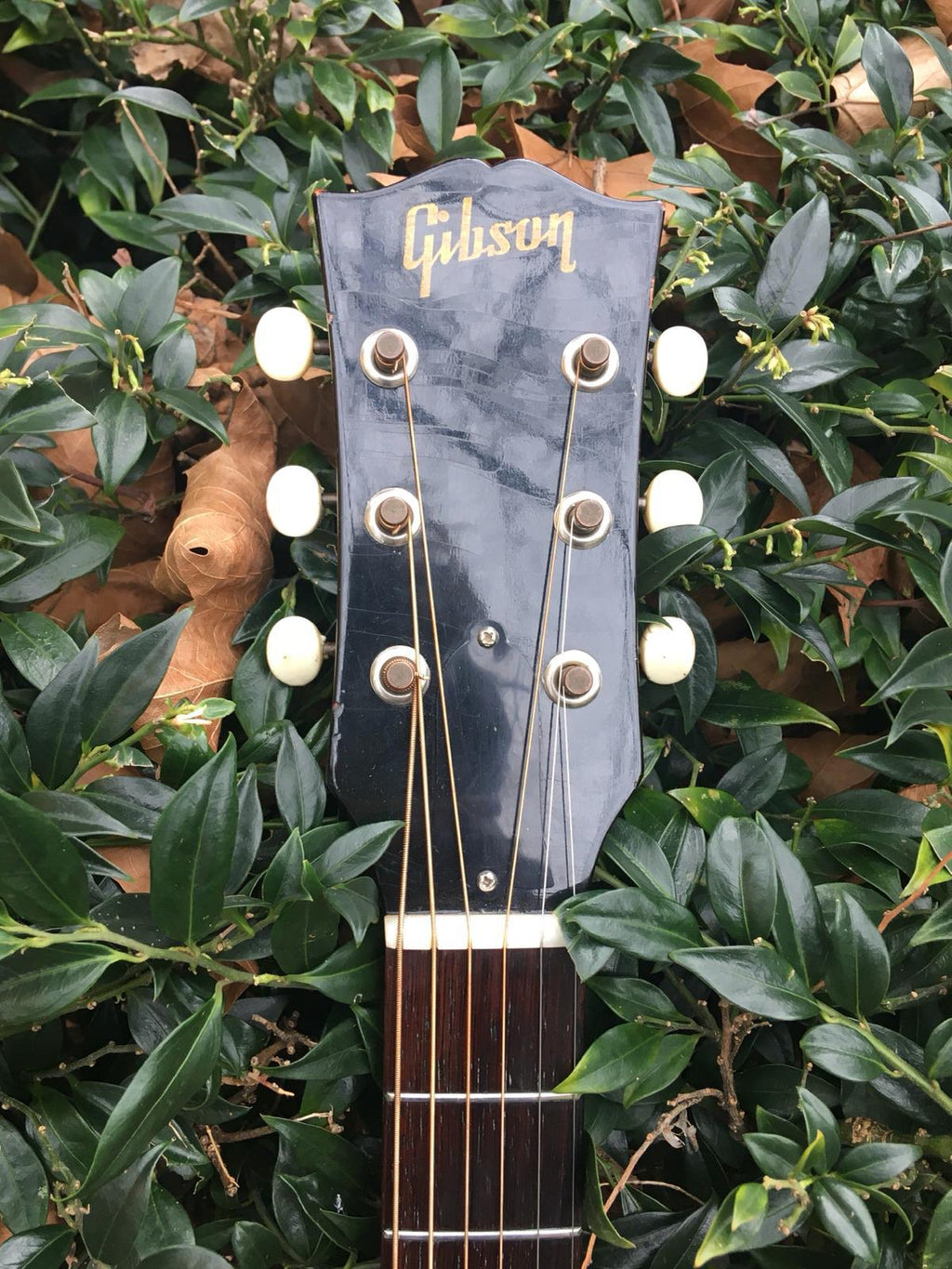 1952 Gibson J50 Acoustic