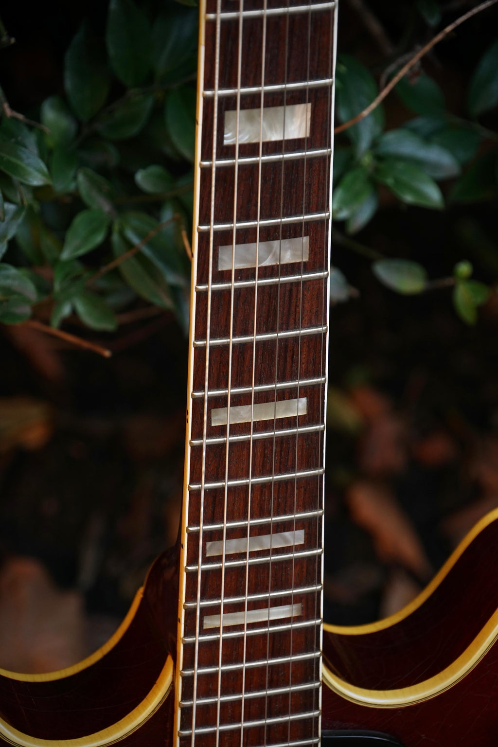 1974 Guild Starfire